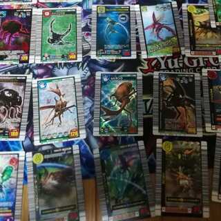 Insect King Junk Item