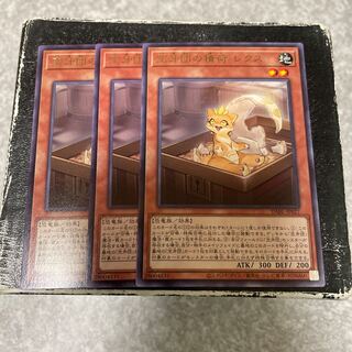 Kuukagan's Cargo Lex Rare 3pcs.