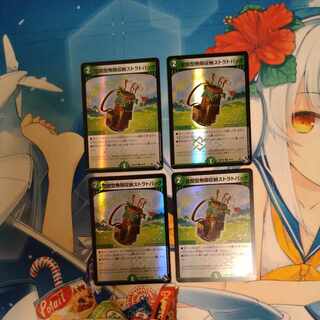 Spatial Infinite Storage Strat Bag (Adrenaline Ver.) U-foil 48/74 4-piece set