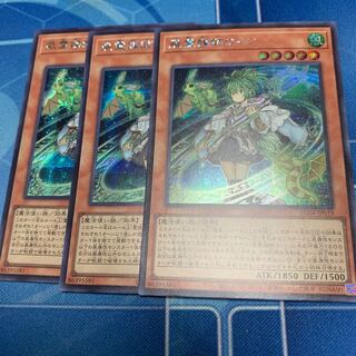 Wynn the Wind Channeler Secret Rare JP019