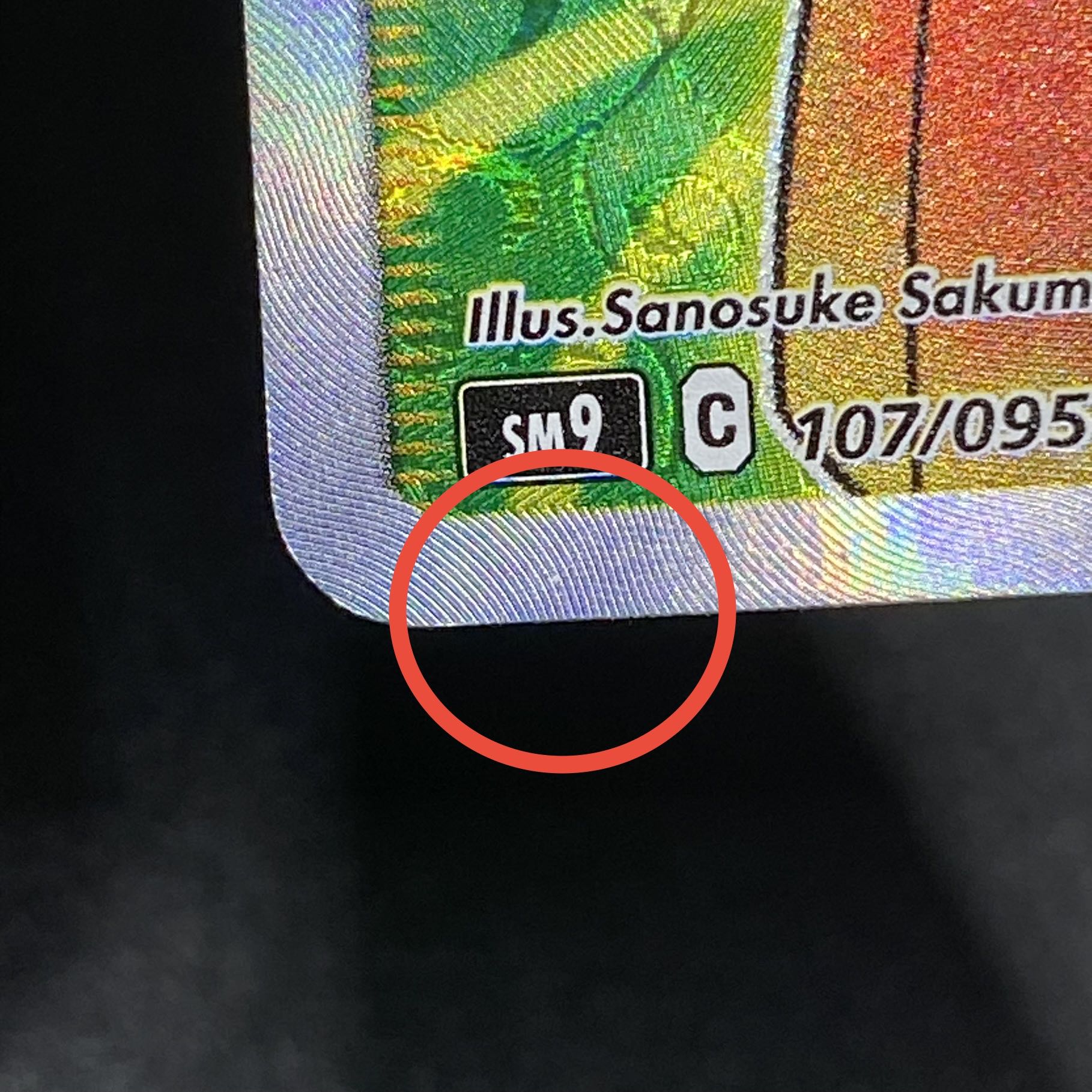 Erika's Hospitality SR 107/095