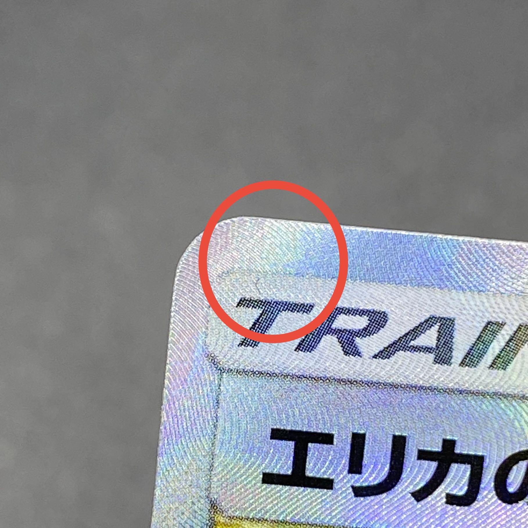 Erika's Hospitality SR 107/095