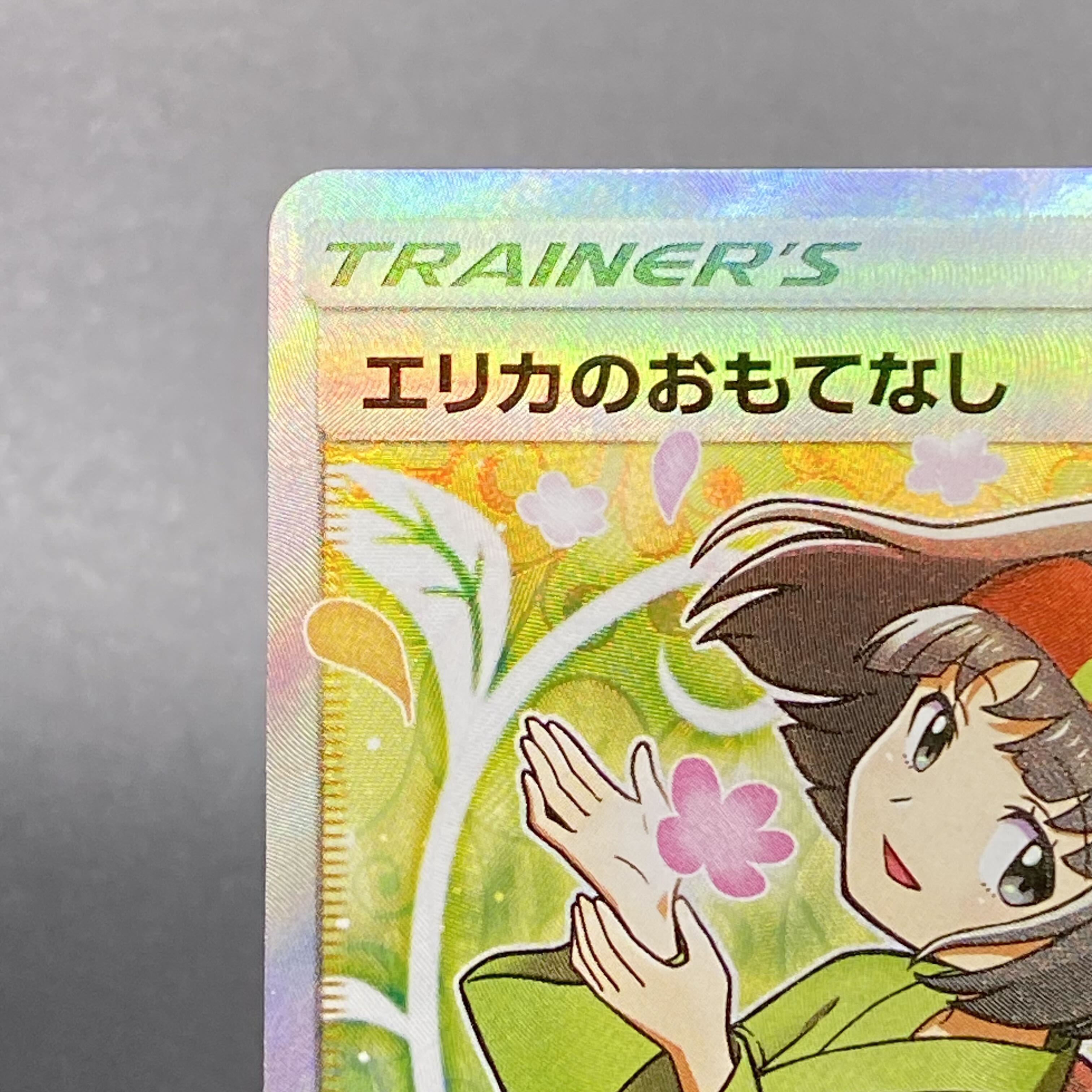 Erika's Hospitality SR 107/095