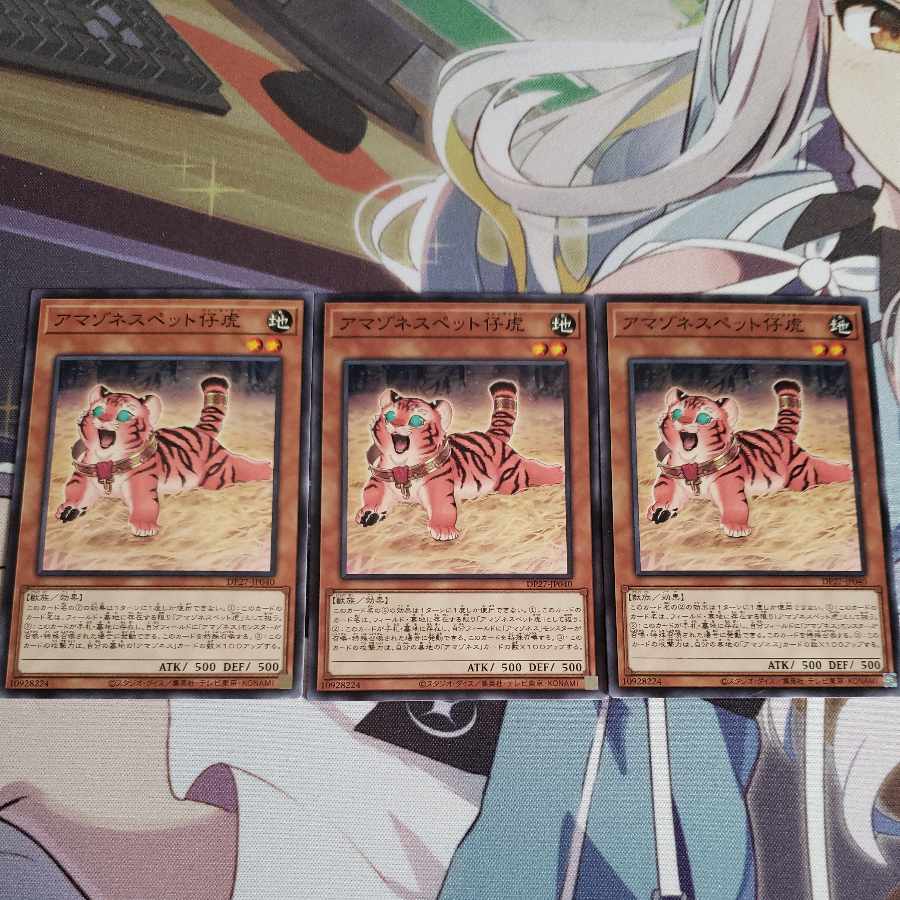 アマゾネスペット仔虎 ノーマル JP040