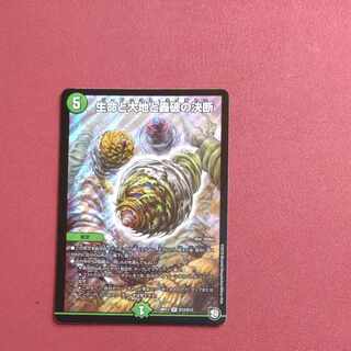 Life Life, Earth and Roaring Decision SR S12/S12