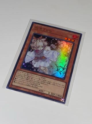 Ash Blossom & Joyous Spring Ultra Rare RC04 JP009 King of Games