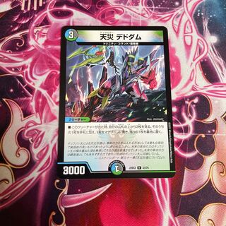 天災 デドダム R 33/75 1枚