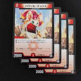 Parasol Chu Squirrel C 42/48 4 pieces