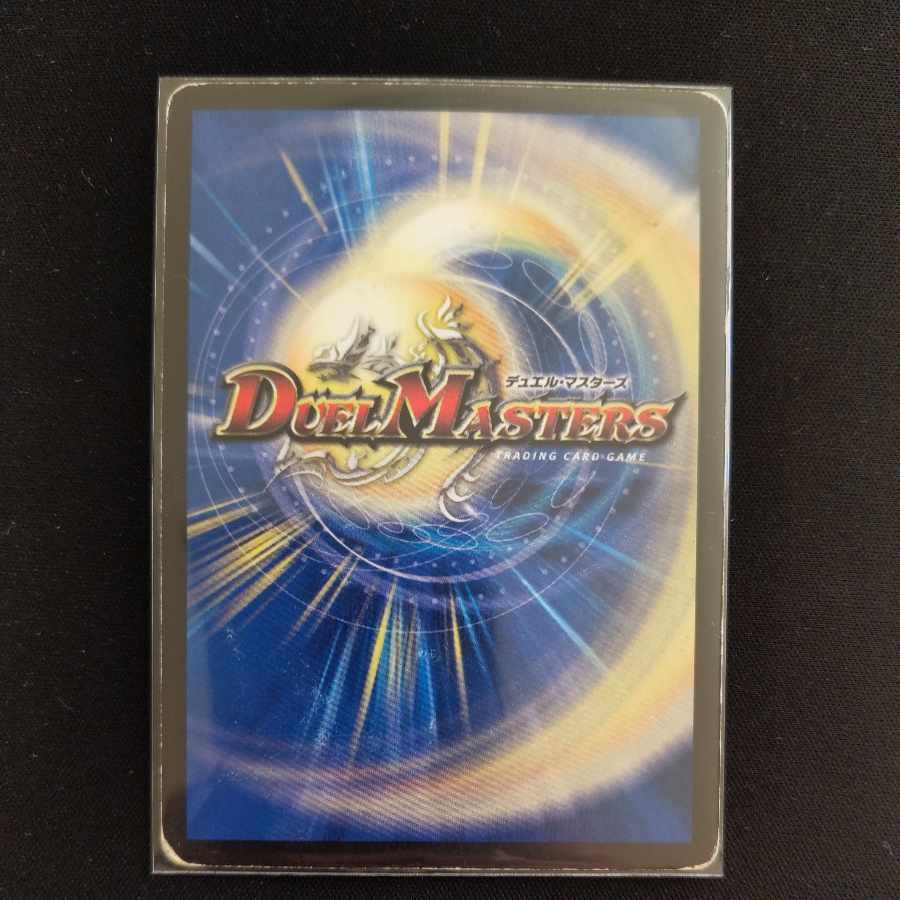 ダンディ・ナスオ C 82/84/Y8 1枚