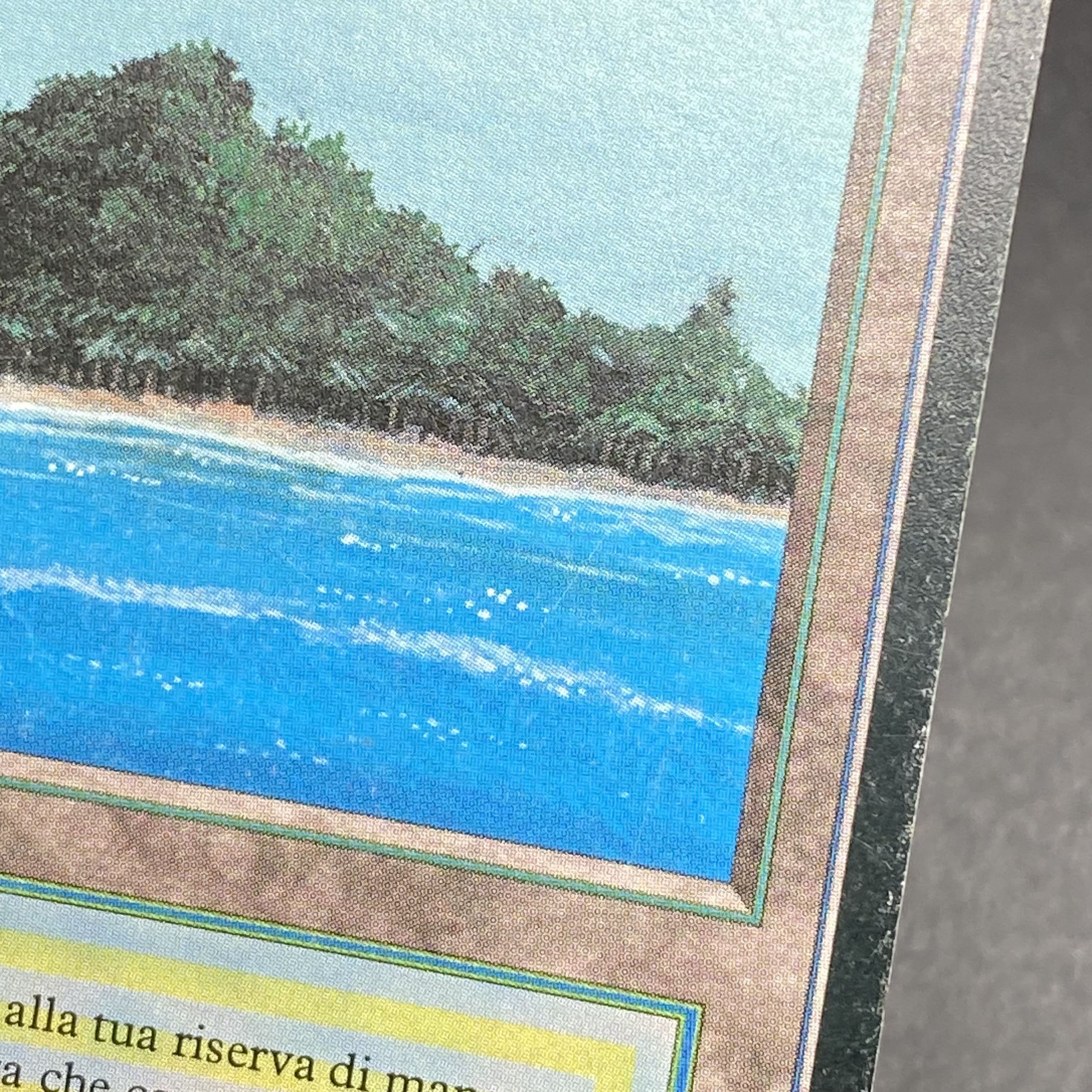 Tropicale Island black frame Italian