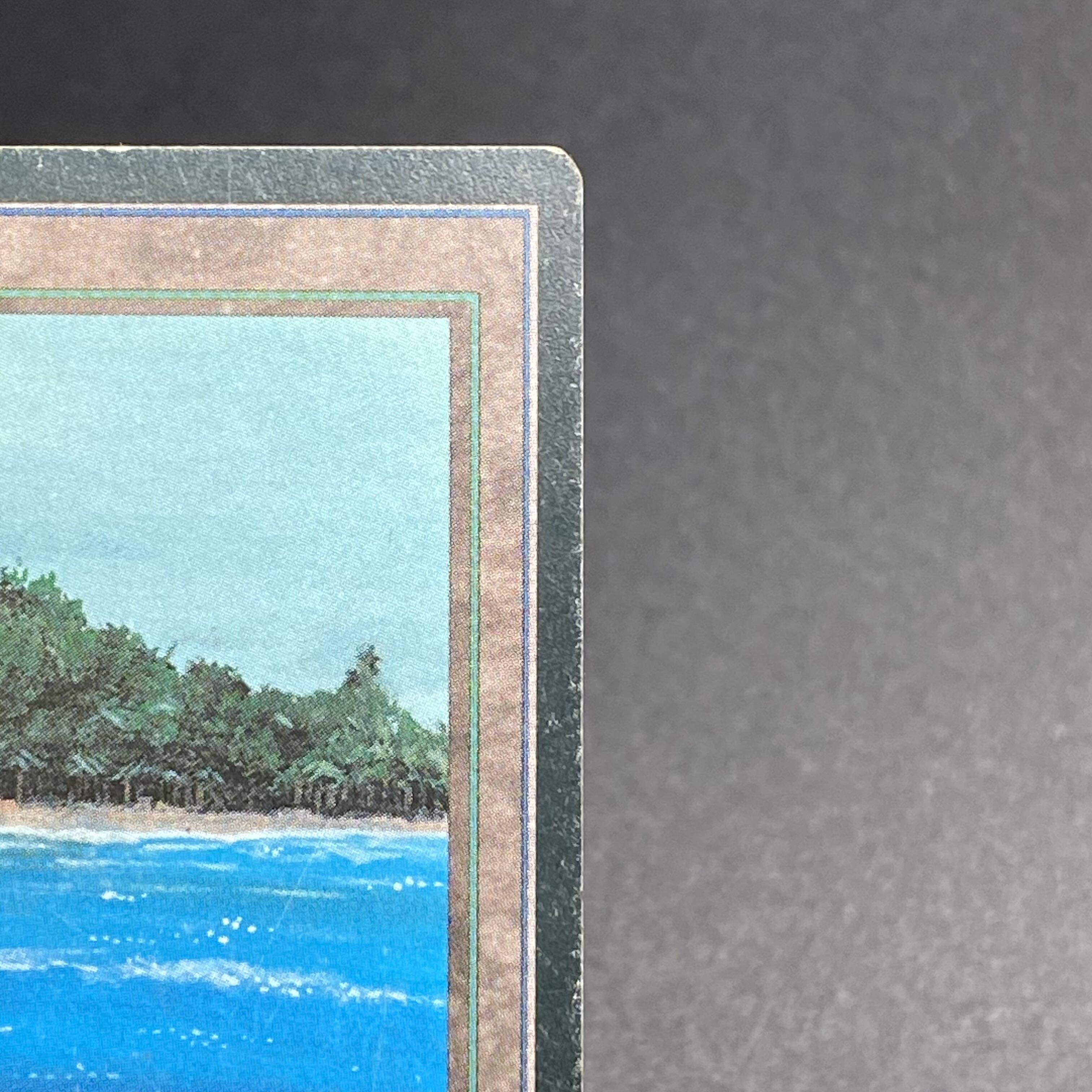 Tropicale Island black frame Italian