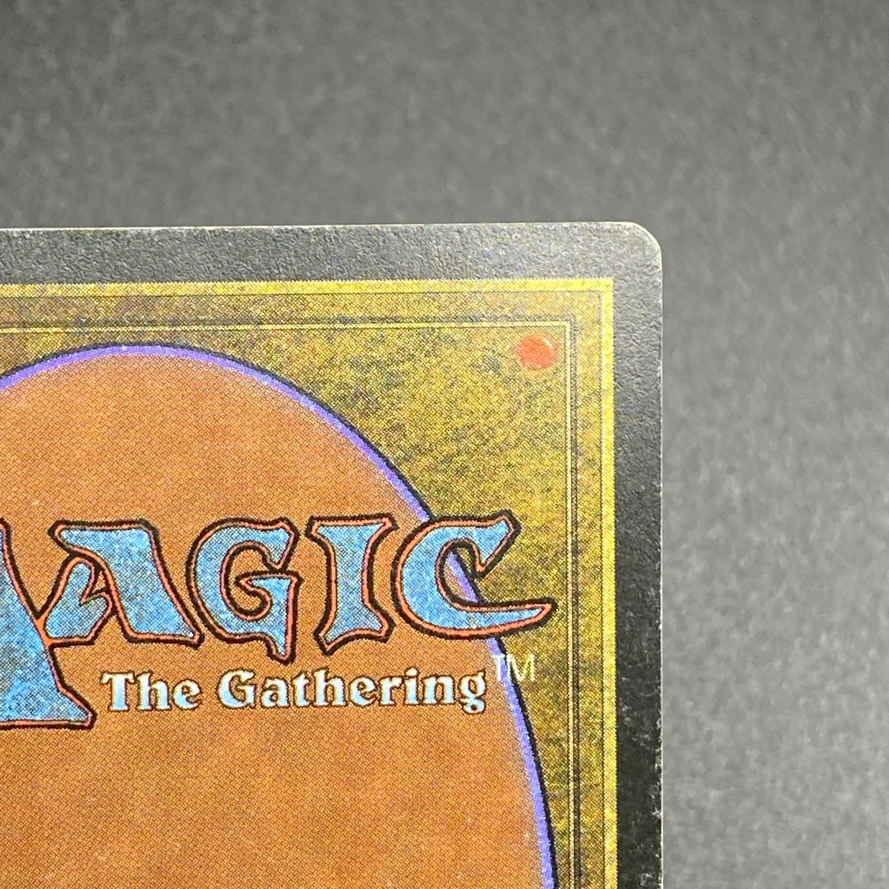 Tropicale Island black frame Italian