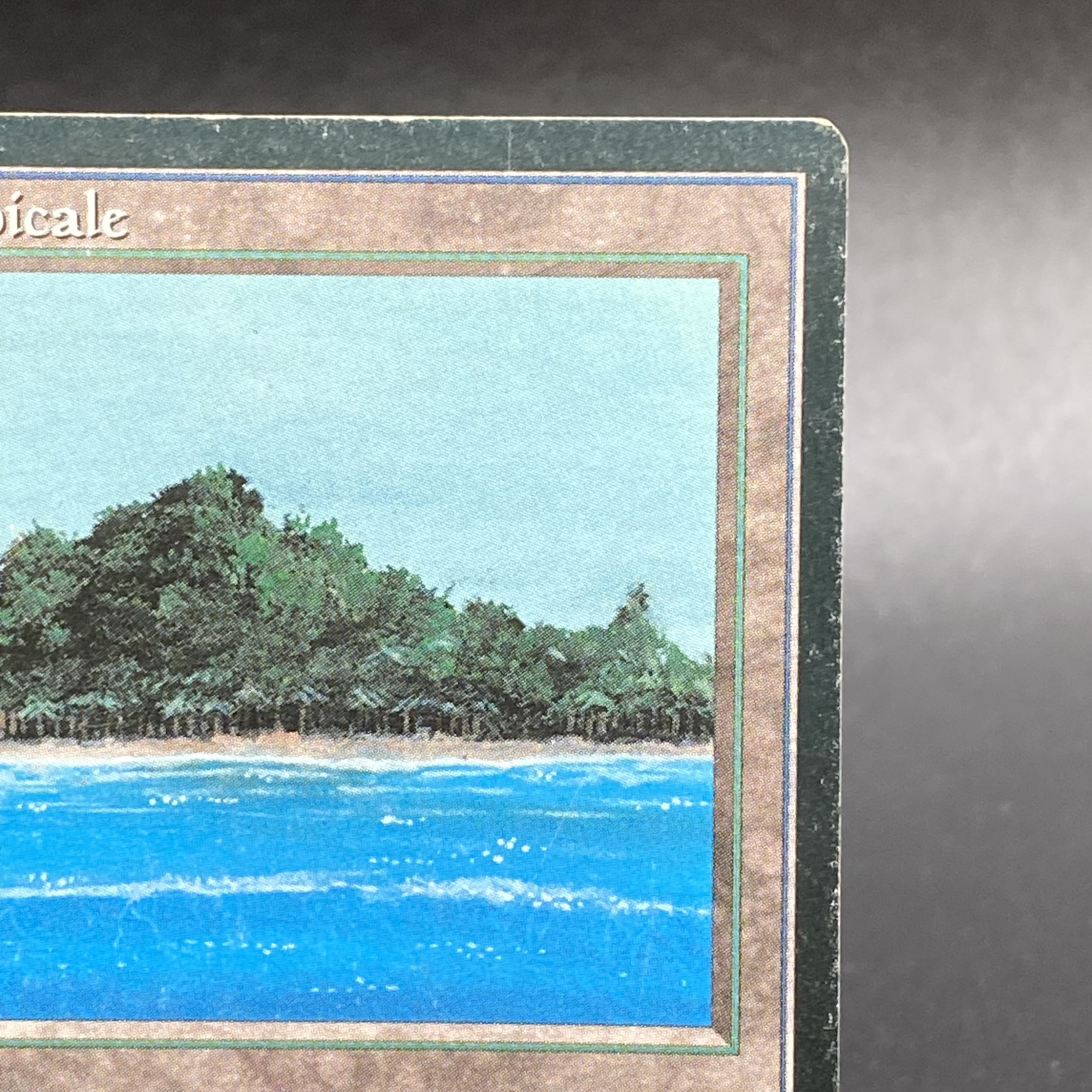 Tropicale Island black frame Italian