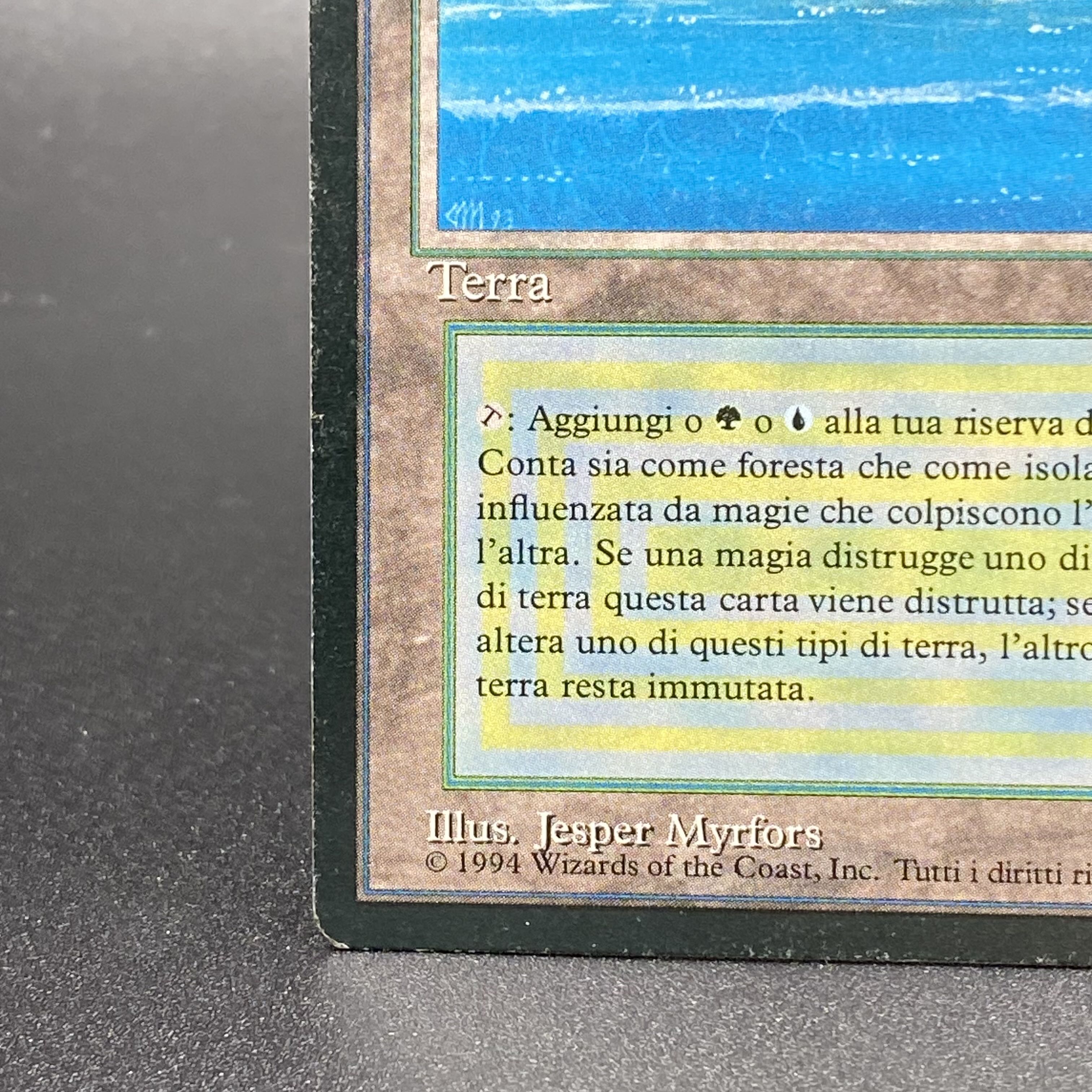 Tropicale Island black frame Italian