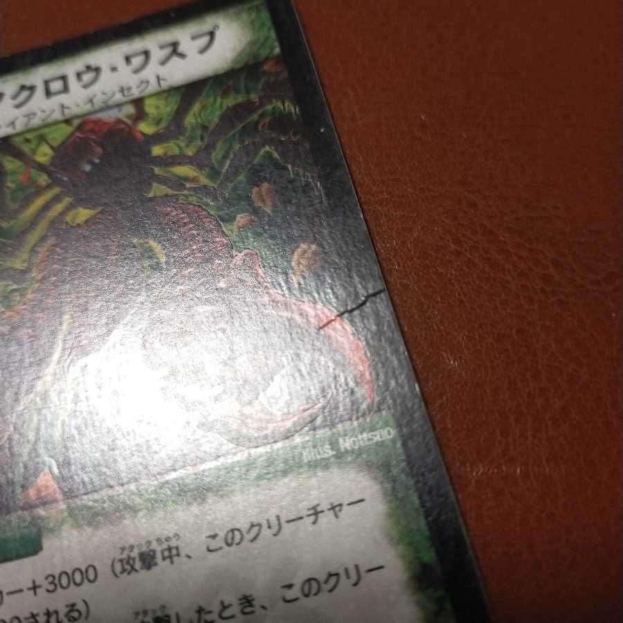 Scratches Set Discount Splinterclaw Wasp