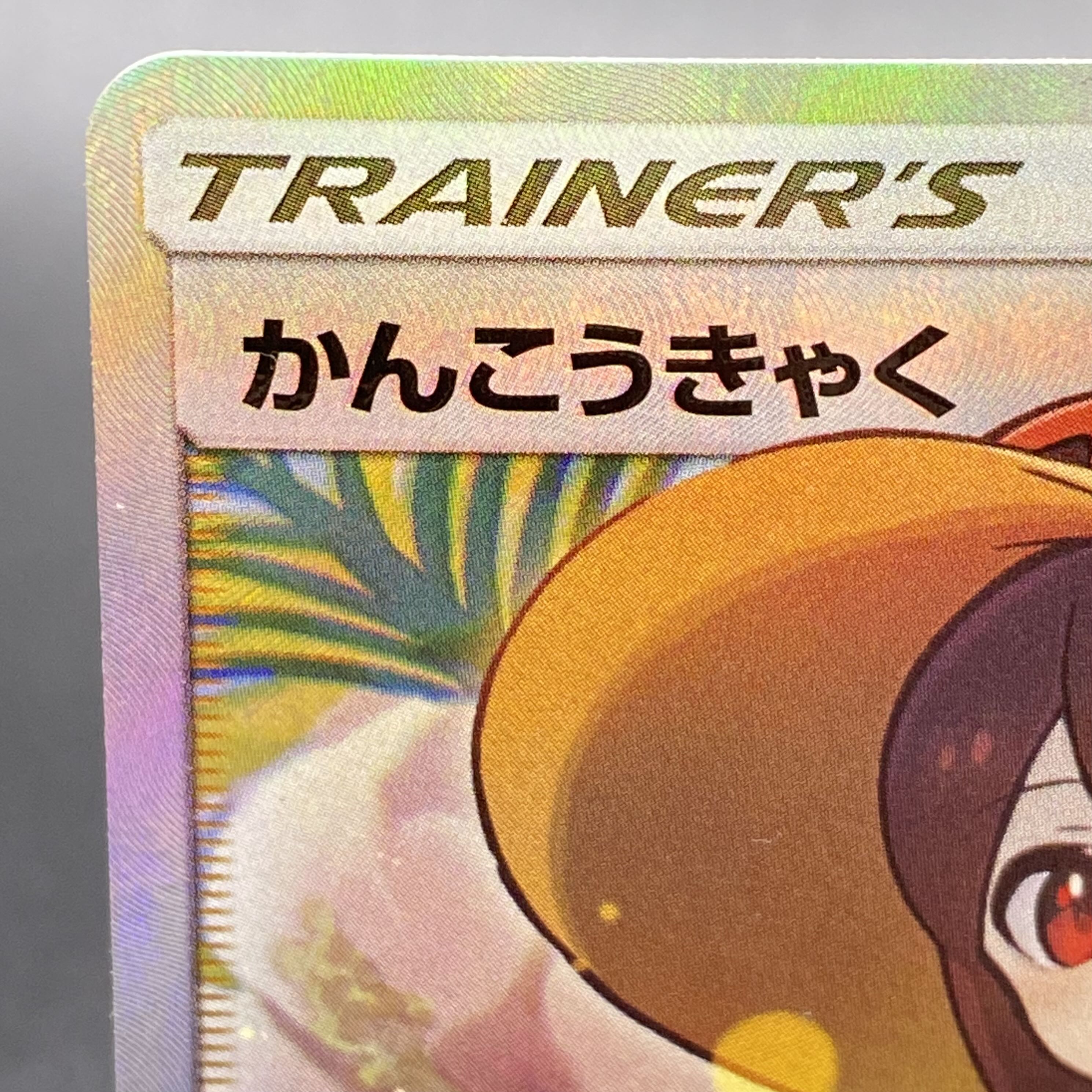 Sightseer SR 192/173