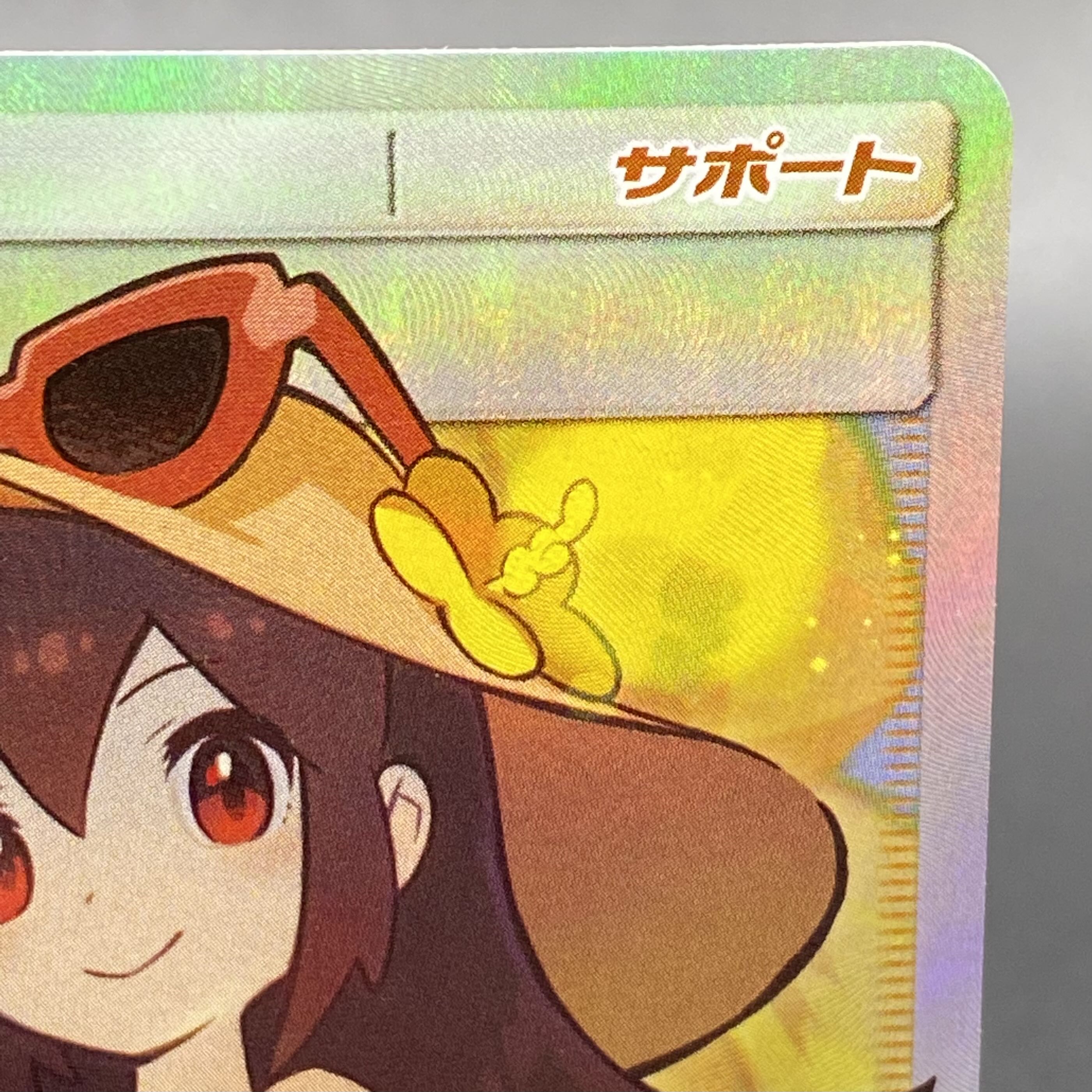 Sightseer SR 192/173