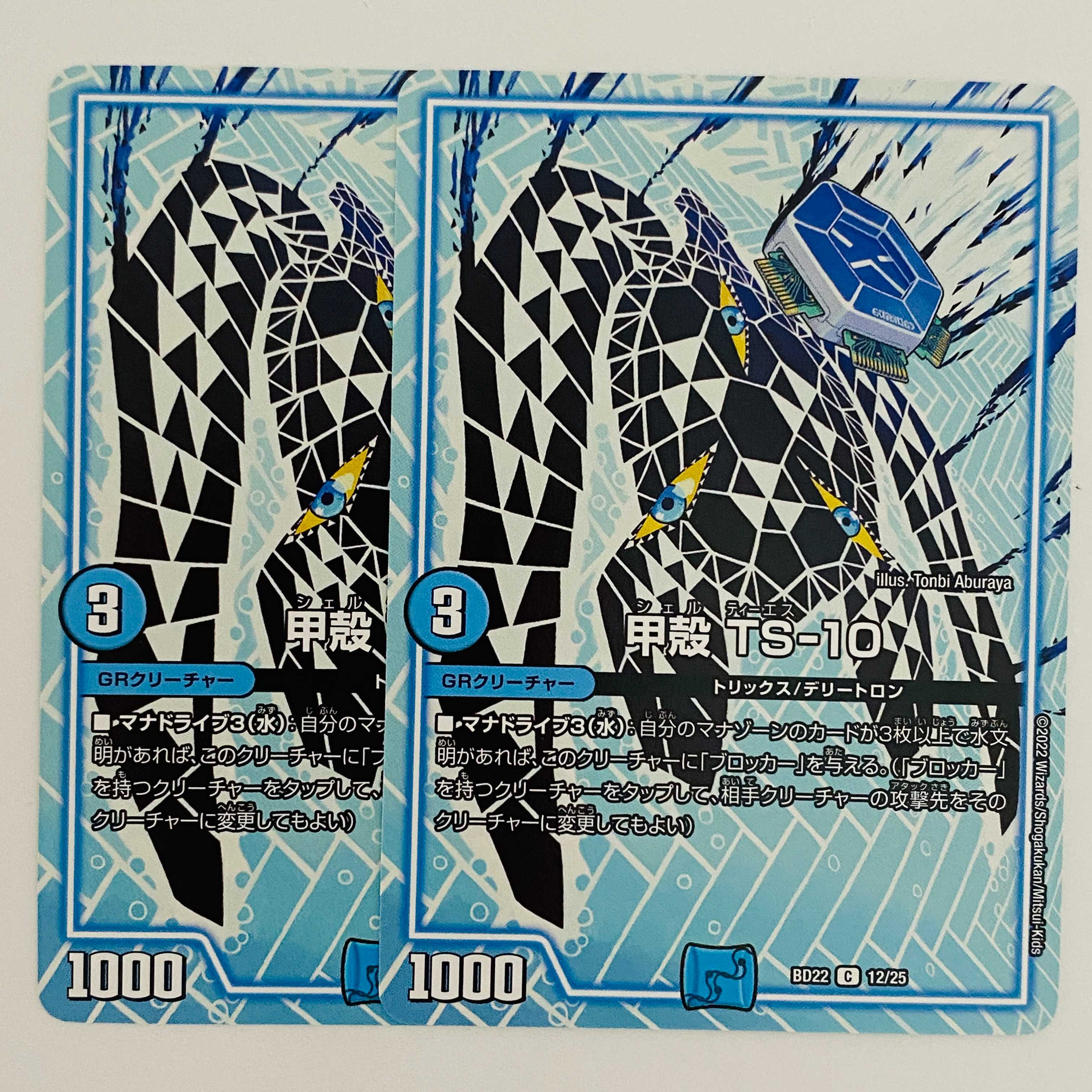 Carapace TS-10 2 sheets DM-BD-22-12-12