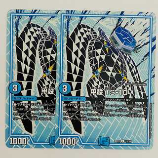 Carapace TS-10 2 sheets DM-BD-22-12-12