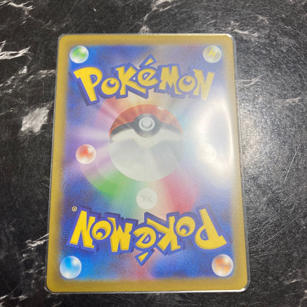 Rhododendron SAR 242/172 Set of 2