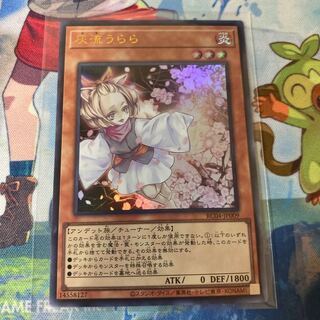 Ash Blossom & Joyous Spring Ultra Rare