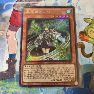 Wynn the Wind Channeler Collector's Rare