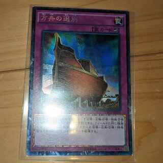 The Selection Collector's Rare JP050