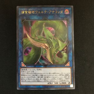 捕食植物ヴェルテ・アナコンダ　ウルトラ