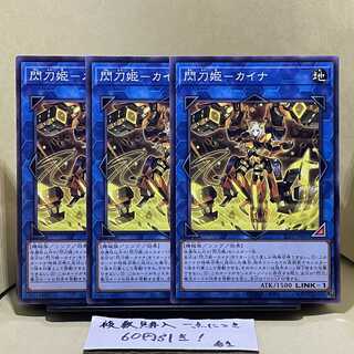 Sentouhime-Kaina Normal JP041