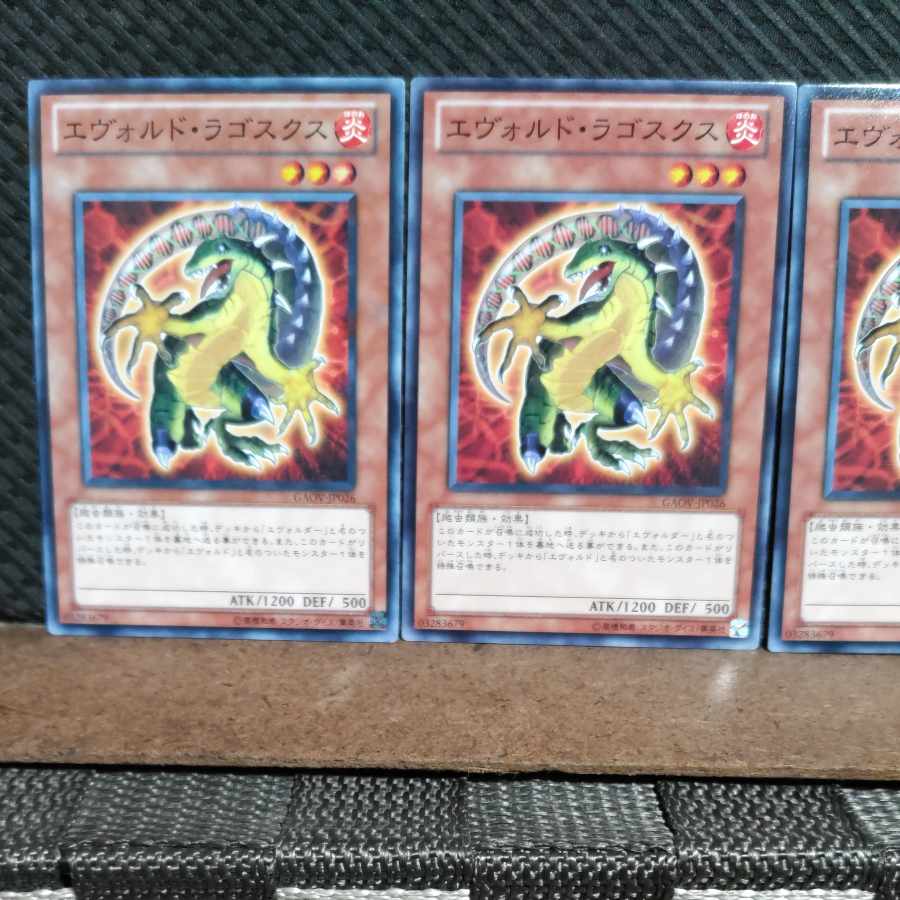 【ぽぽたん】遊戯王  #1824  エヴォルド・ラゴスクス 3枚 ノーマル