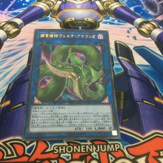 捕食植物ヴェルテアナコンダ　ウルトラ