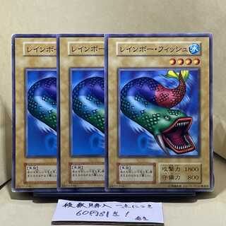 レインボー・フィッシュ ノーマル