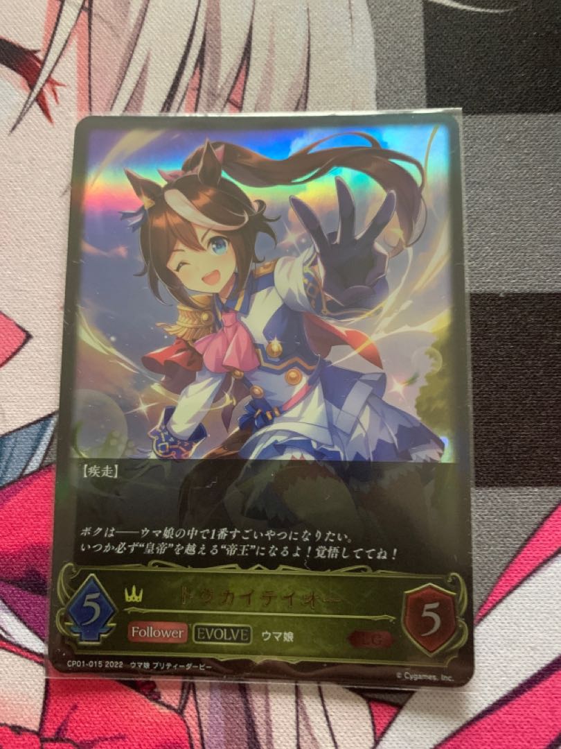 Shadows] Tokai Teio, LG.