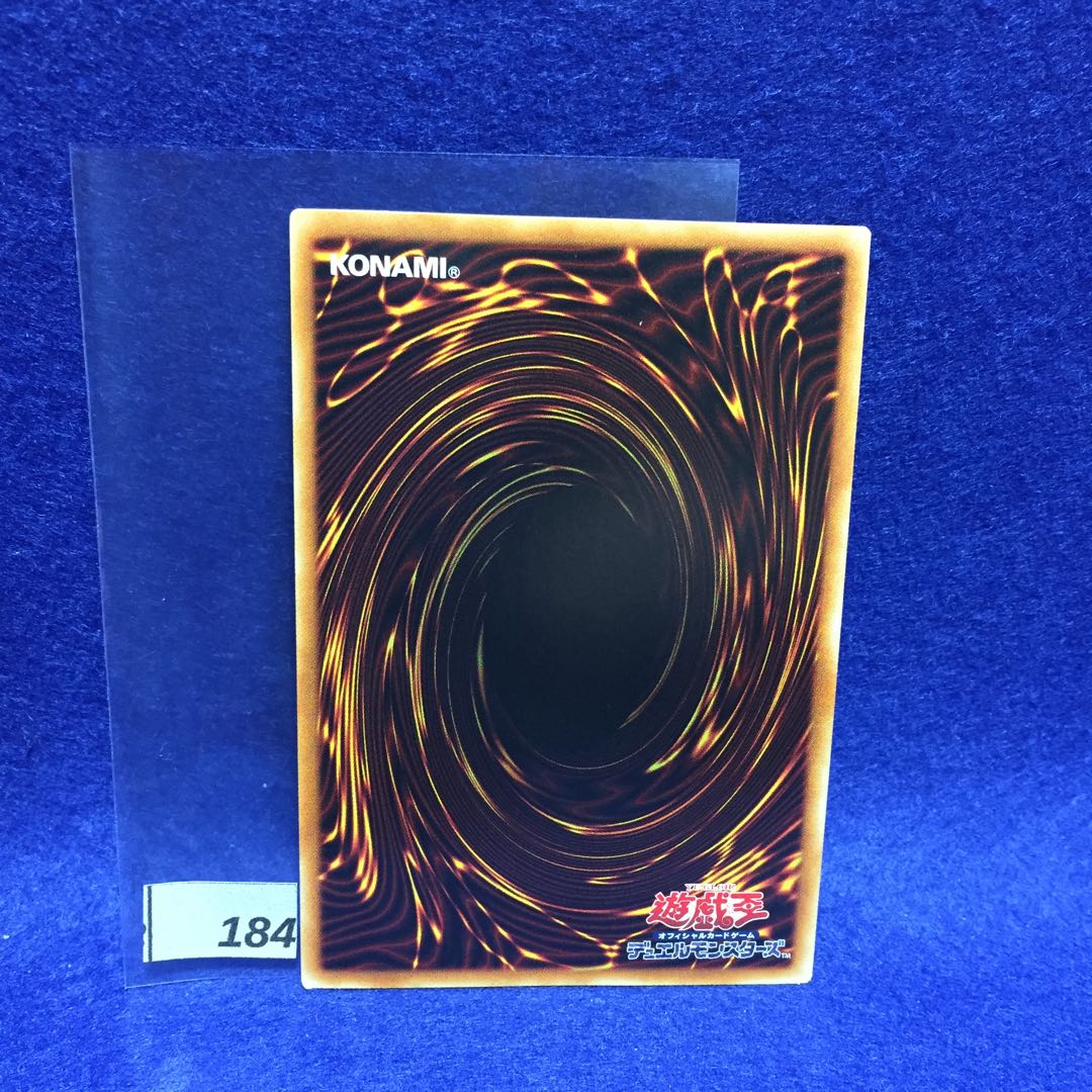 極神聖帝オーディン ホロ