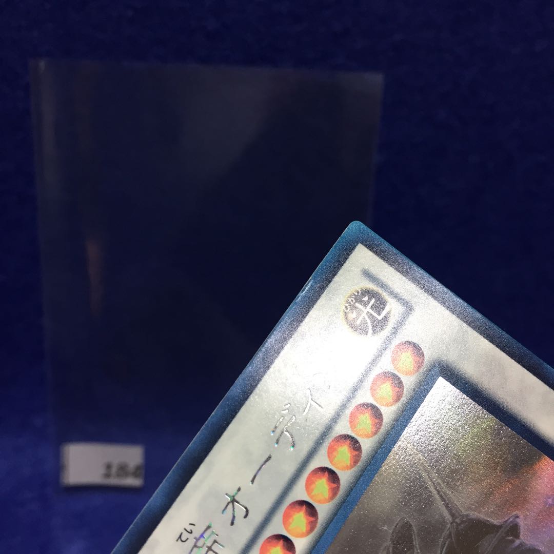 極神聖帝オーディン ホロ