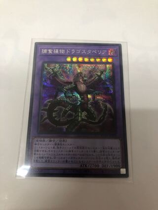 Predaplant Dragostapelia Secret Rare JP028