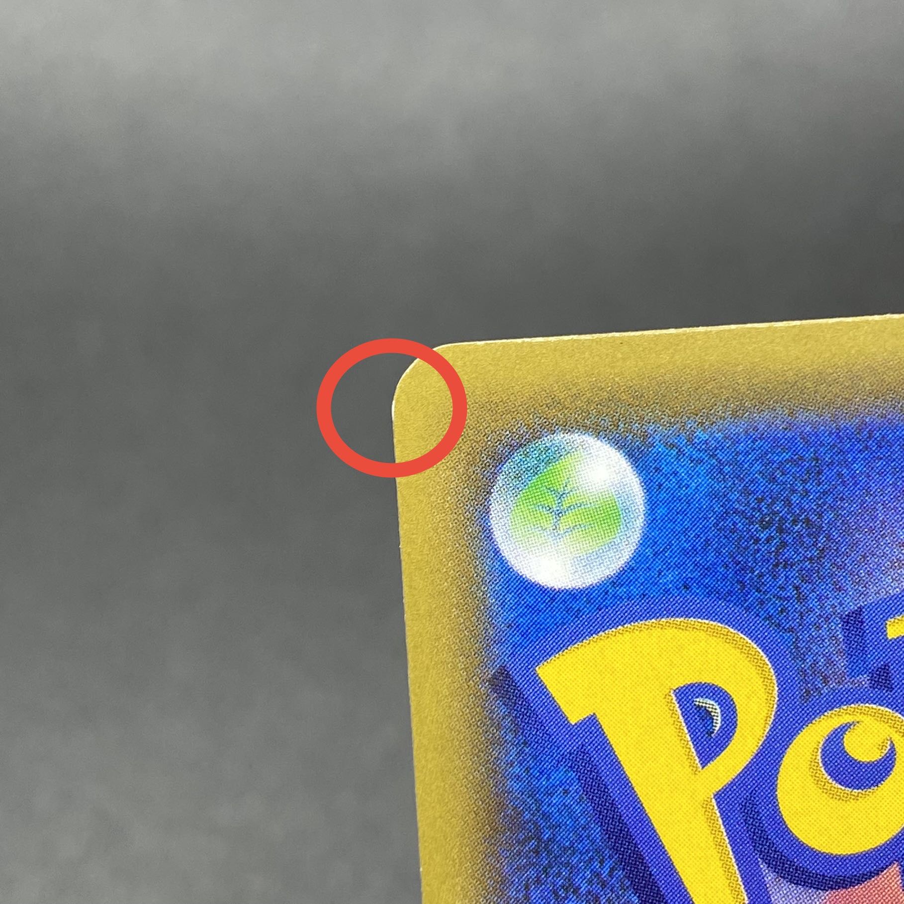 Reshiram&ZekromGX SR SA 064/049