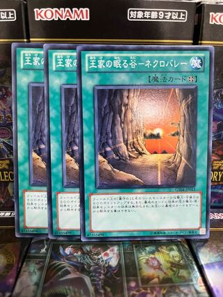 Yu-Gi-Oh Studio 2546 Valley of the Kings Sleeps - Necro Valley Normal JP013