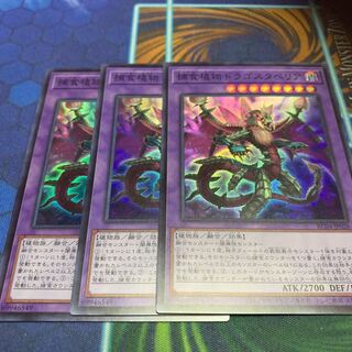 Predaplant Dragostapelia Super Rare JP028