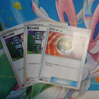 博士の研究　ネストボール