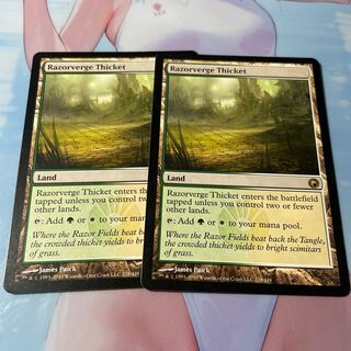 剃刀境の茂み SOM 2枚