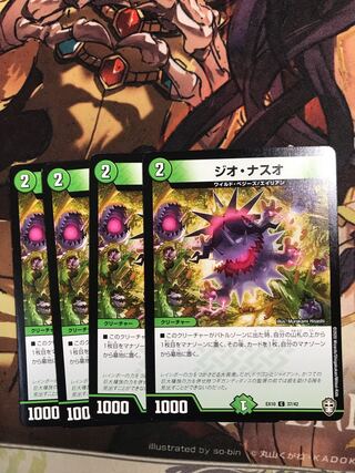 Gio Naso C 37/42 1枚