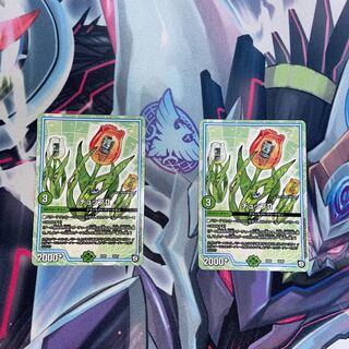 チュップII 16/87 2枚セット 2枚