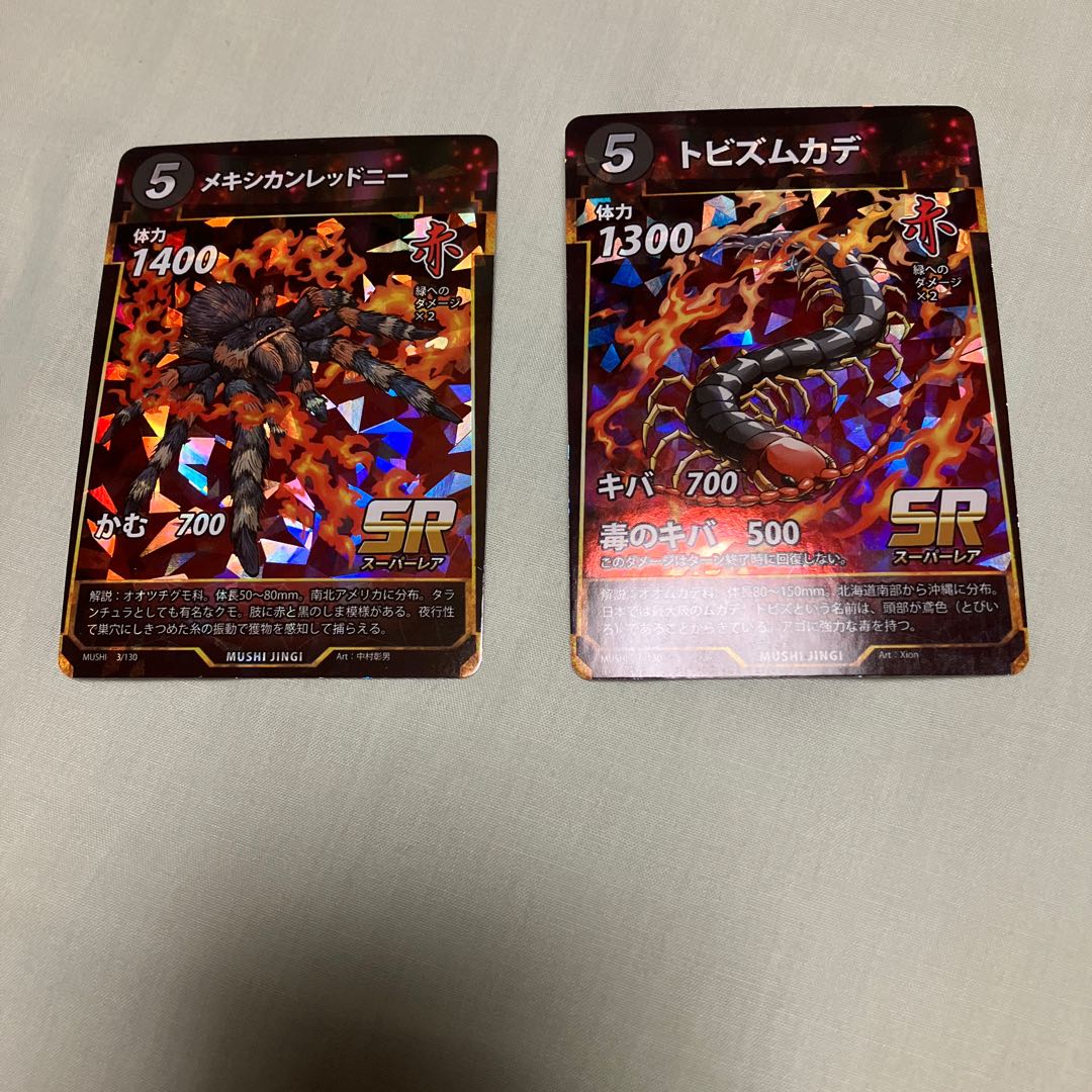 Mushinoki Mexican Red Knee sr Tobizumu Centipede sr