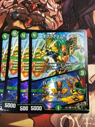 Obrady Hornet｜"Ler it Bee!" VR 41/138