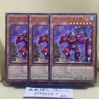 Kshatrira Auger Normal JP014