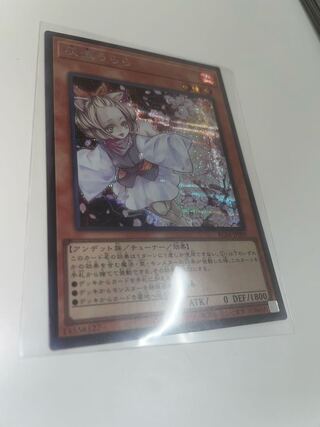 Ash Blossom & Joyous Spring Secret Rare RC04-JP009