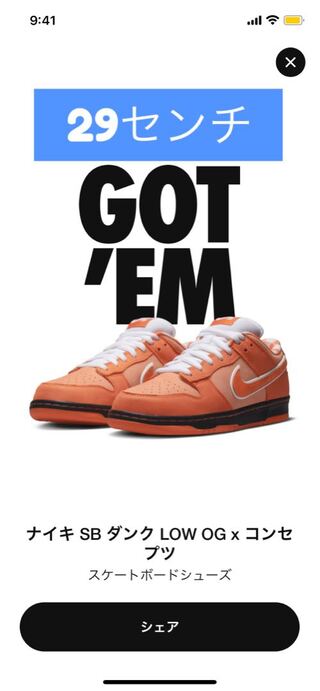 Concepts x Nike SB Dunk Low SP "Orange Lobster" Orange Lobster/Black FD8776-800 29cm