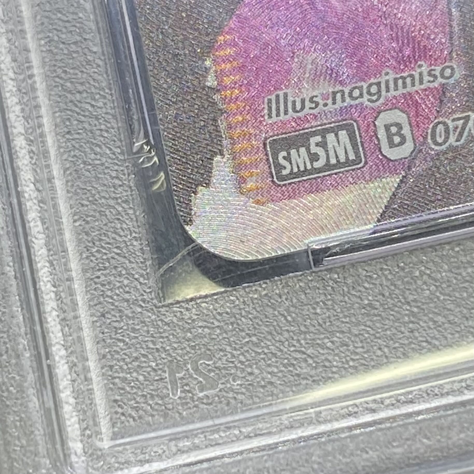 PSA10Cynthia SR 070/066 1枚