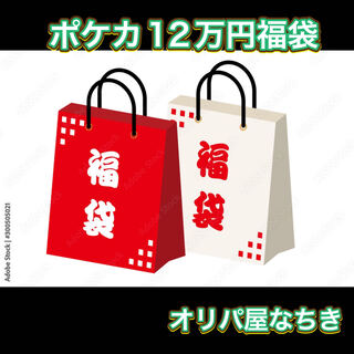 Shushu-sama's Exclusive Pokeka Fukubukuro 120,000 yen